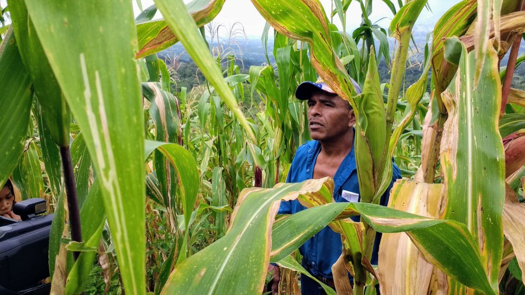 WhatsApp Image 2018-01-30 at 4.21.05 PM (1)