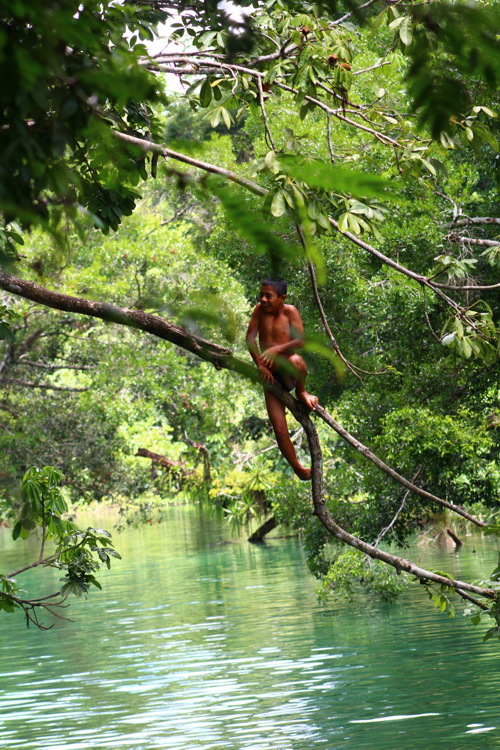 {{brizy_dc_image_alt imageSrc=